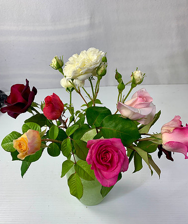 Mix of 4 Fragrant Roses $10