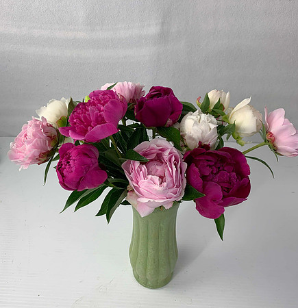 Mix of 4 Peonies $10